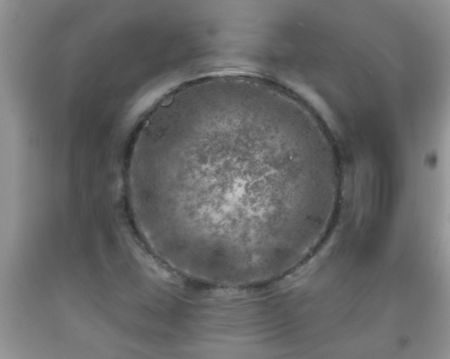 X0000092041407200709191051