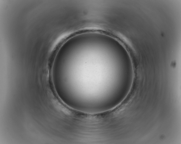 X0000092041408200709191051