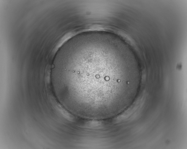 X0000092041409200709191051