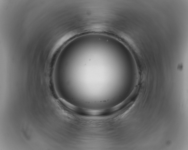 X0000092041410200709191051