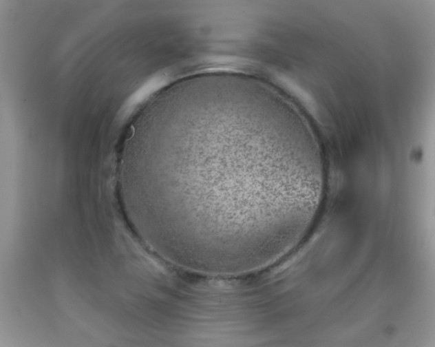 X0000092041411200709191051