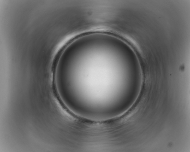 X0000092041414200709191051