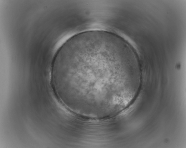 X0000092041415200709191051