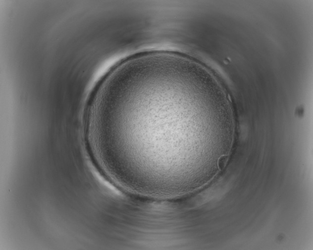 X0000092041416200709191051