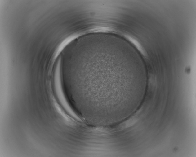 X0000092041418200709191051