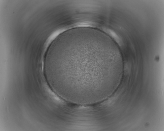 X0000092041419200709191051