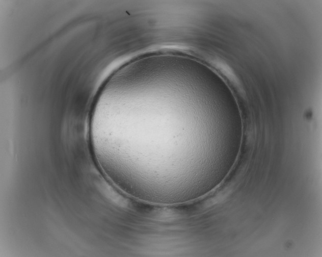 X0000092041420200709191051