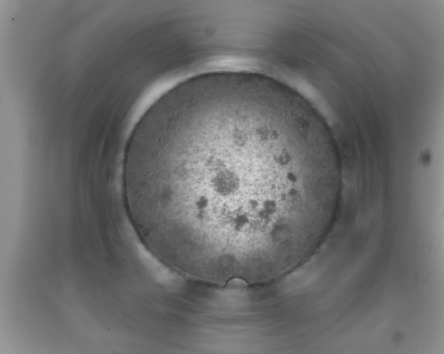 X0000092041421200709191051