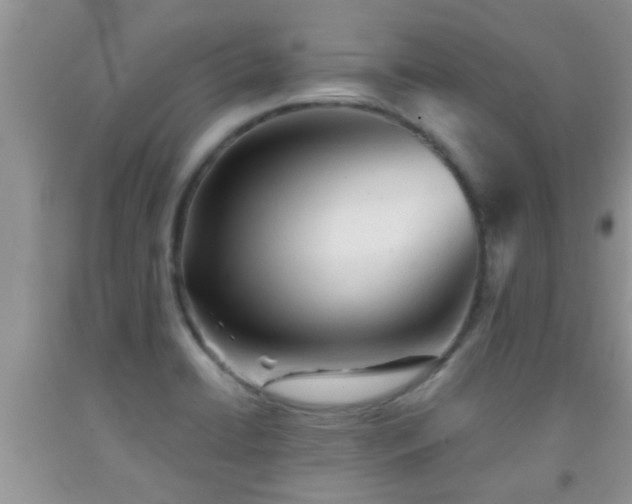 X0000092041422200709191051