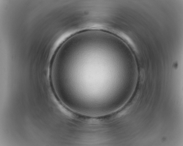 X0000092041424200709191051