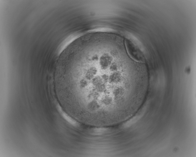 X0000092041425200709191051