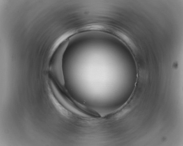 X0000092041426200709191051