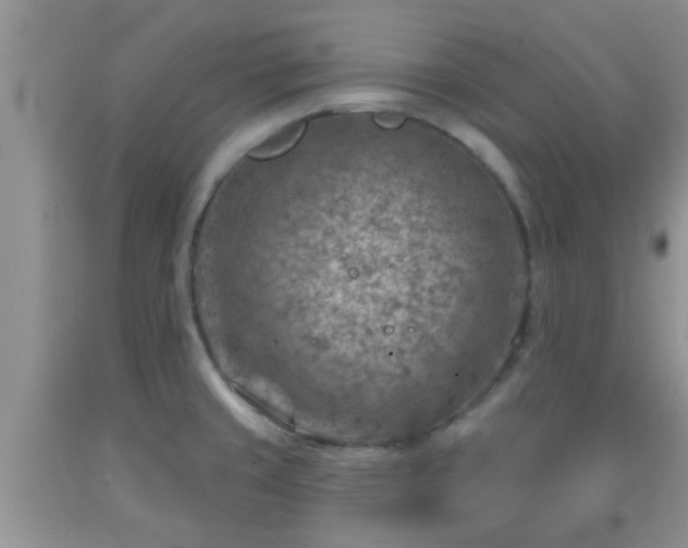 X0000092041429200709191051