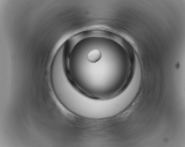 X0000092041430200709191051