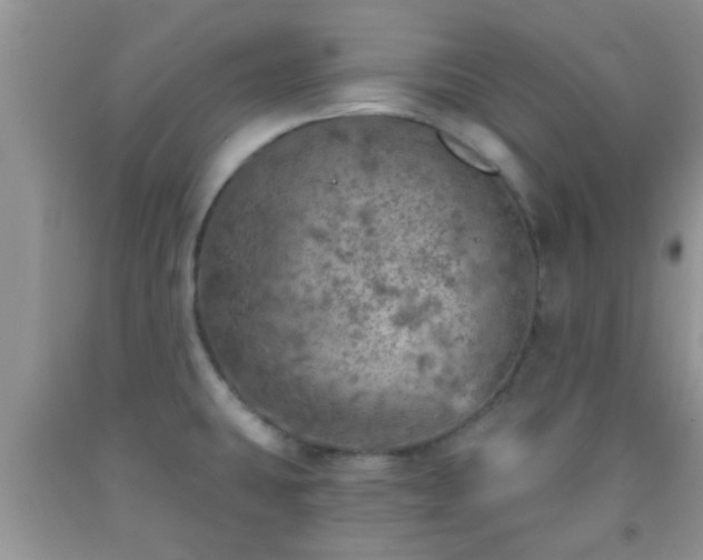 X0000092041431200709191051