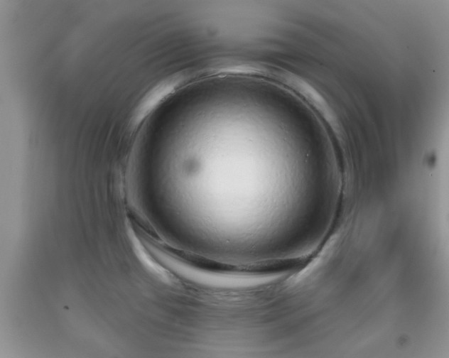 X0000092041433200709191051