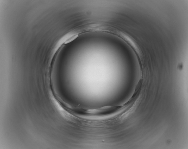 X0000092041434200709191051