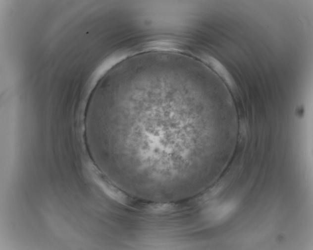 X0000092041435200709191051