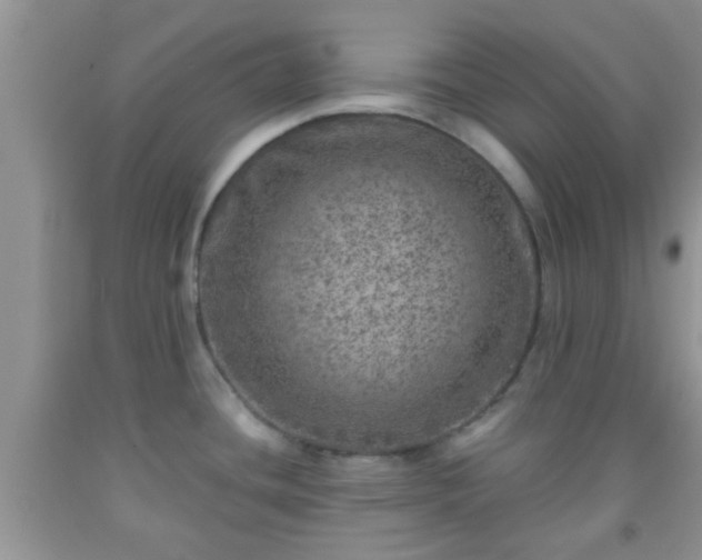 X0000092041436200709191051