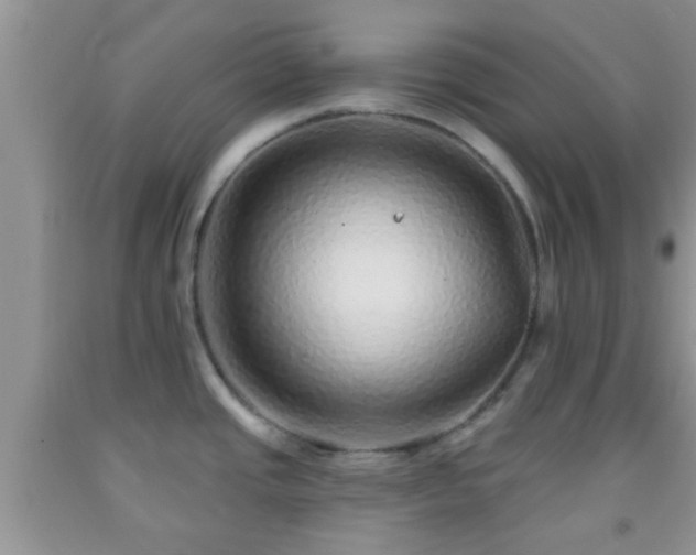 X0000092041437200709191051