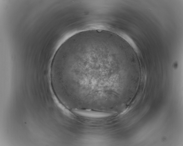 X0000092041439200709191051