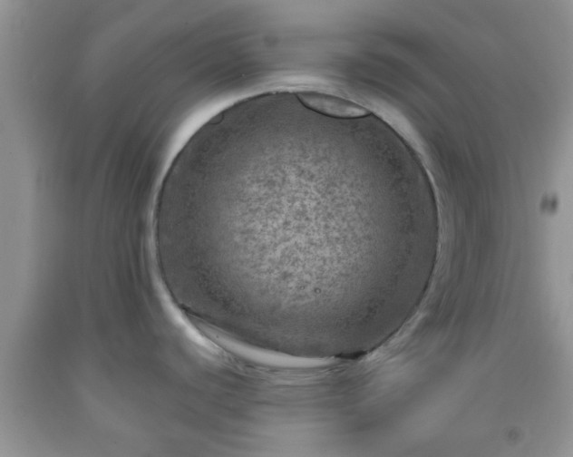 X0000092041440200709191051