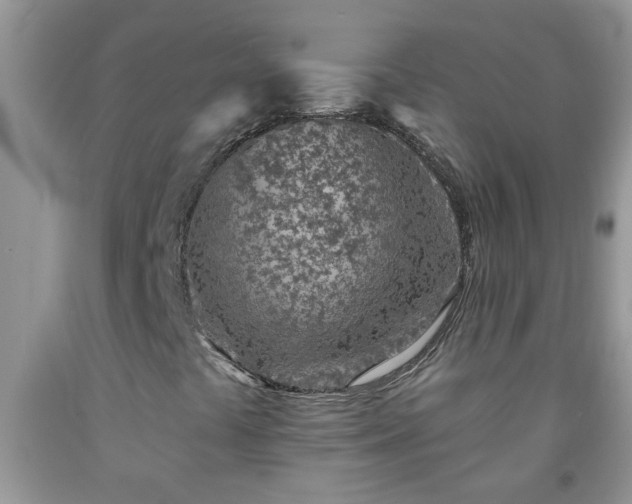 X0000092041441200709191050