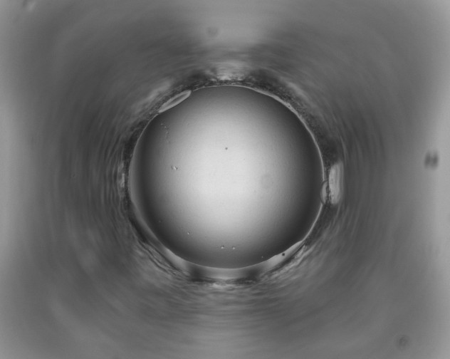 X0000092041443200709191050