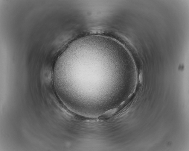 X0000092041444200709191050