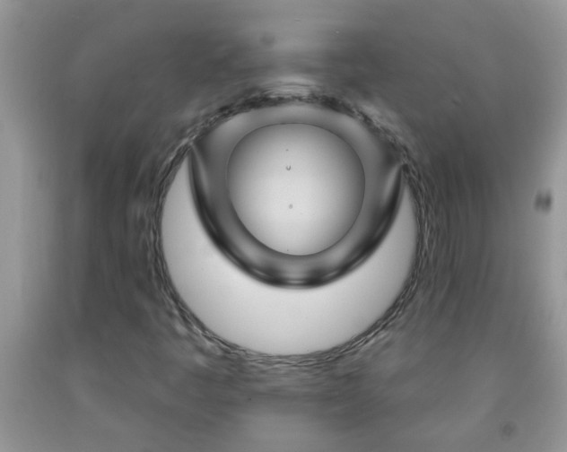 X0000092041445200709191050