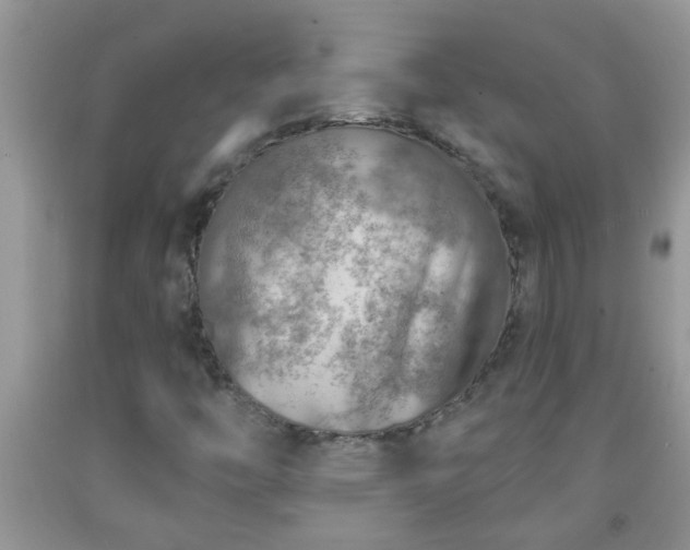 X0000092041446200709191050