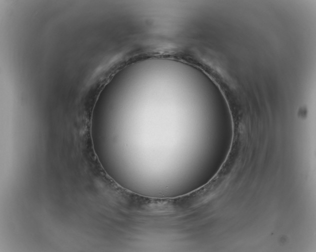 X0000092041447200709191050