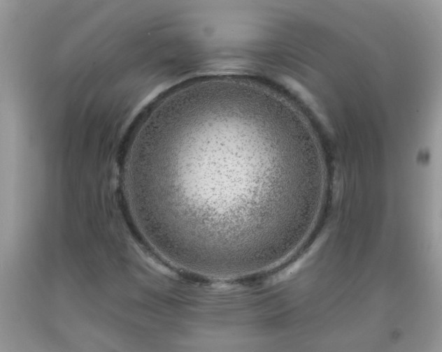 X0000092041449200709191050