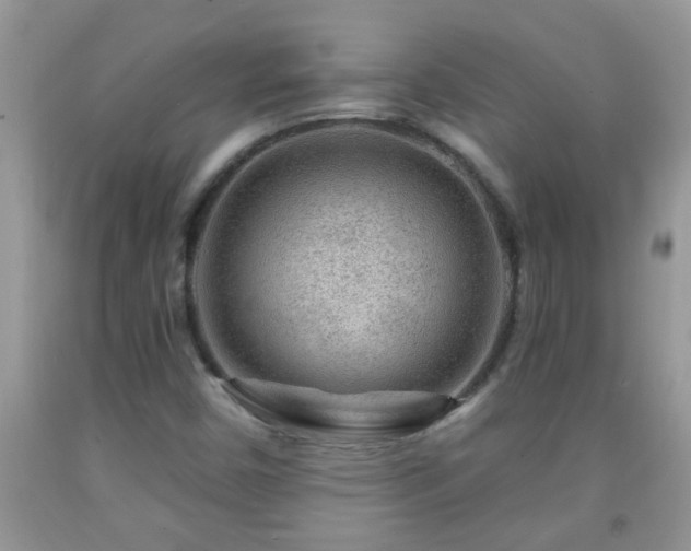 X0000092041450200709191050