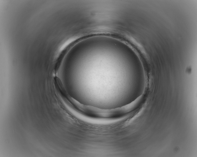 X0000092041453200709191050