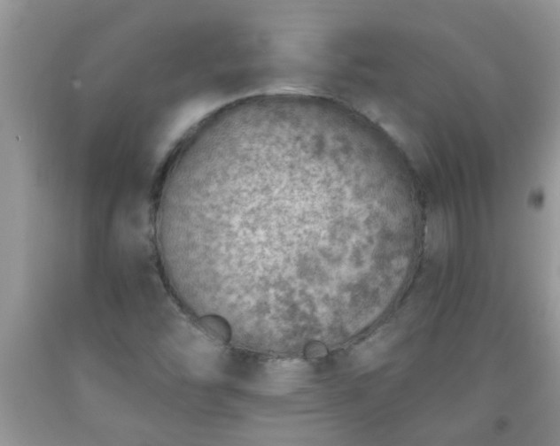 X0000092041454200709191050