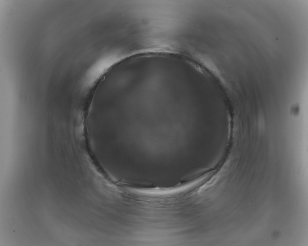 X0000092041455200709191050