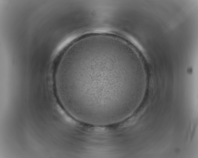 X0000092041456200709191050