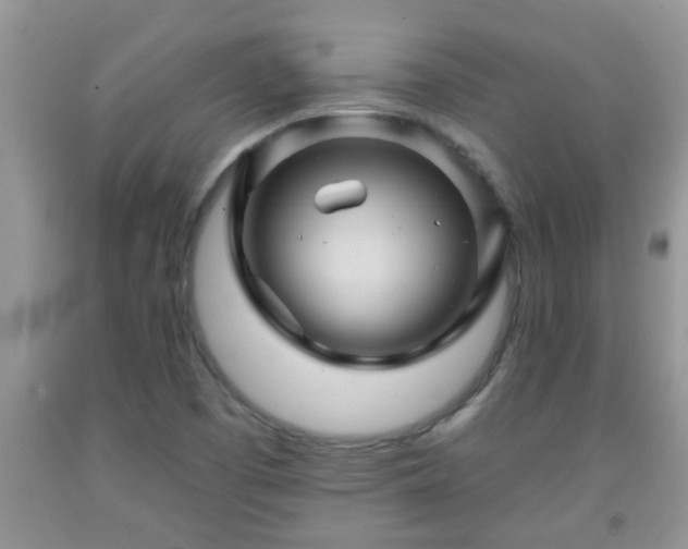 X0000092041457200709191050