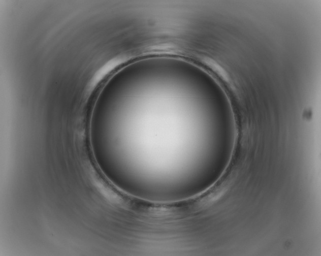 X0000092041458200709191050