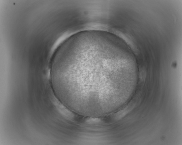 X0000092041462200709191050