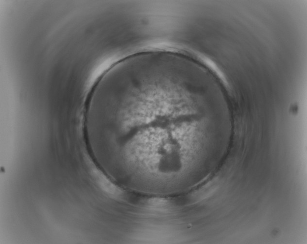 X0000092041463200709191050