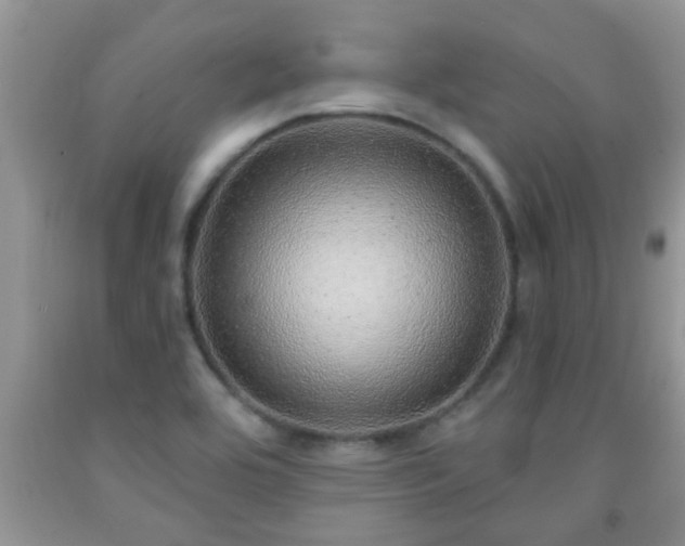 X0000092041464200709191050