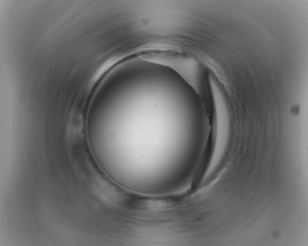 X0000092041465200709191050