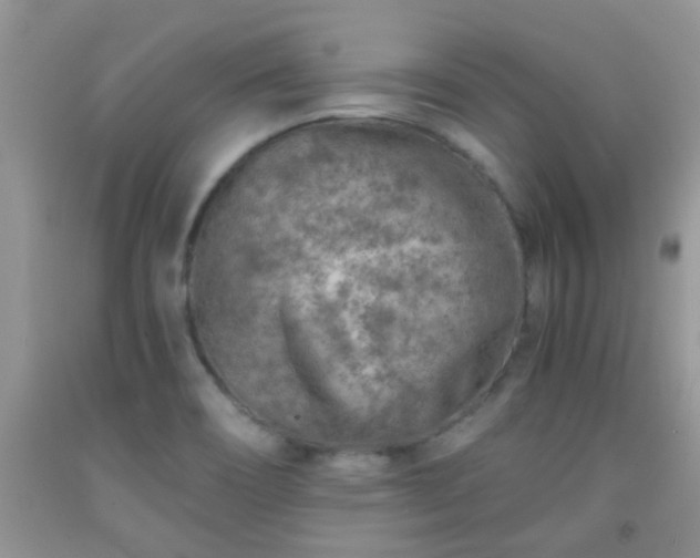 X0000092041466200709191050