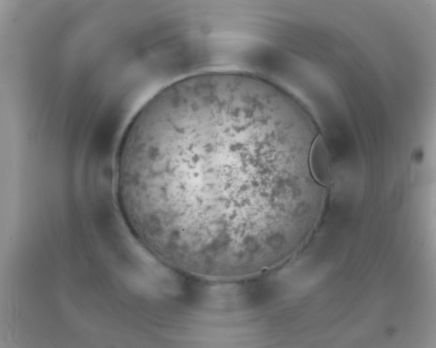 X0000092041467200709191050