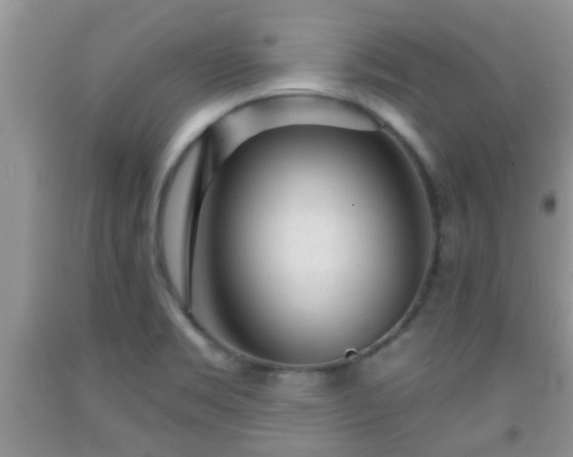 X0000092041469200709191050