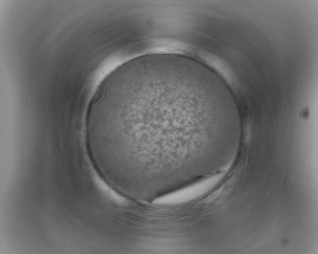 X0000092041471200709191050