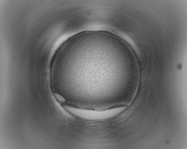 X0000092041472200709191050