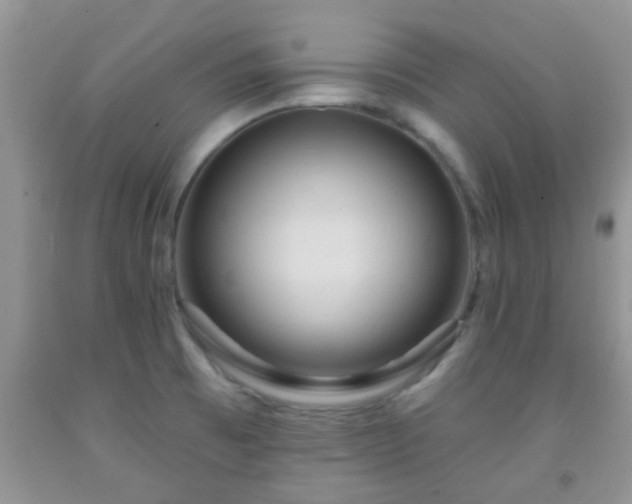 X0000092041473200709191050